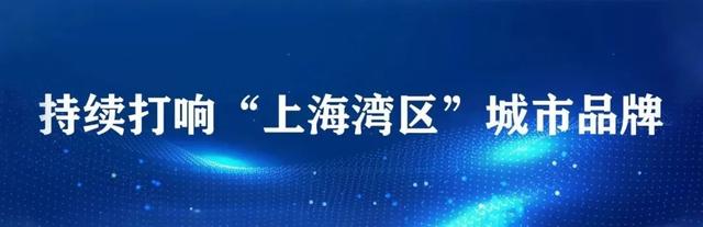 首批共10家全球招商合作伙伴公布！金山区转型发展“冲锋号”已吹响