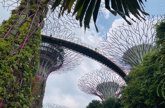 「不负好时光」说走就走的🇸🇬新加坡自由行详记