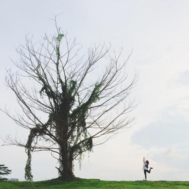 盘点新加坡不用花钱也可以浪的地方！