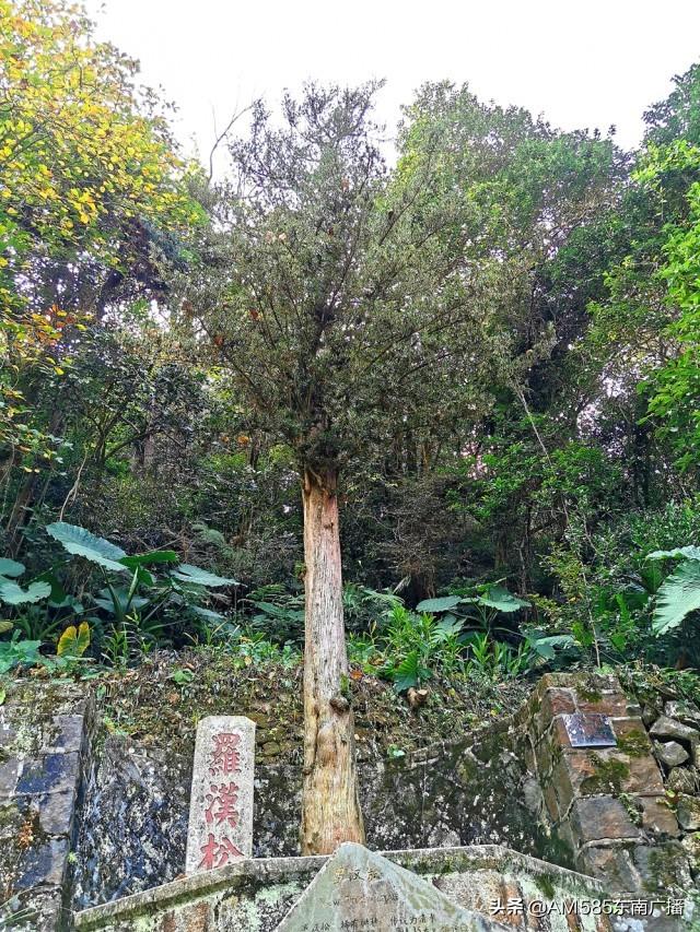 【福建涉台文物】 安溪清水岩：清水祖师文化发祥地