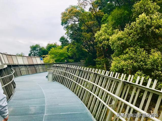 福州城市森林步道，和青島海邊棧道不一樣的味道