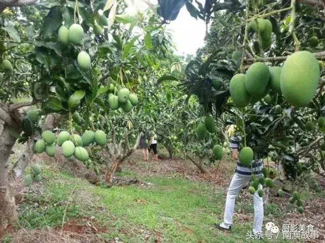 广东美食大全，顶级特产知多少？欢迎广东人继续来补充！