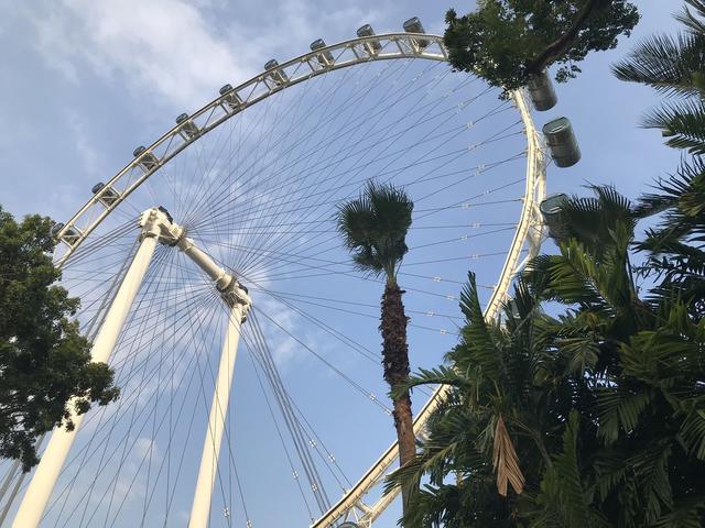 「不负好时光」说走就走的🇸🇬新加坡自由行详记