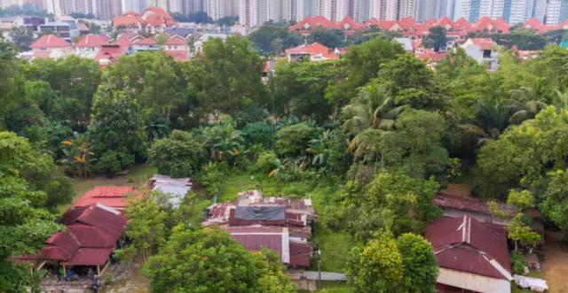新加坡最后一个农村？