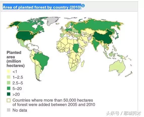 沒想到吧，全球植樹造林速度最快的國家竟然是中國！