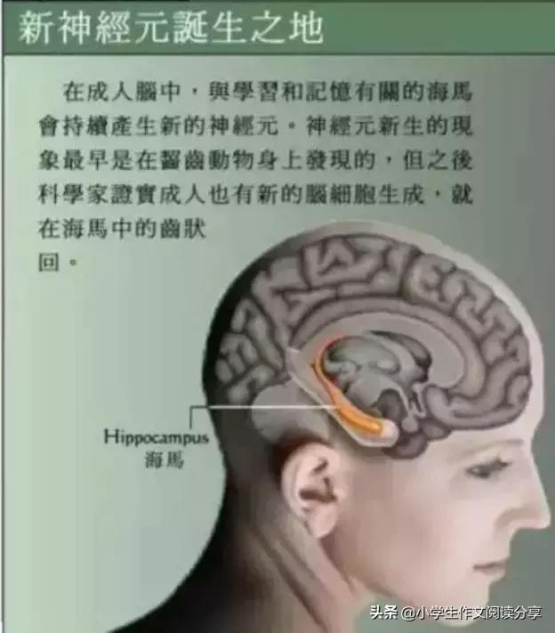 发展孩子大脑最好的三个方法：运动、阅读和游戏