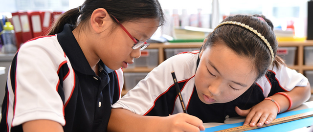 新加坡政府學校“分流制度”的——因材施教理念