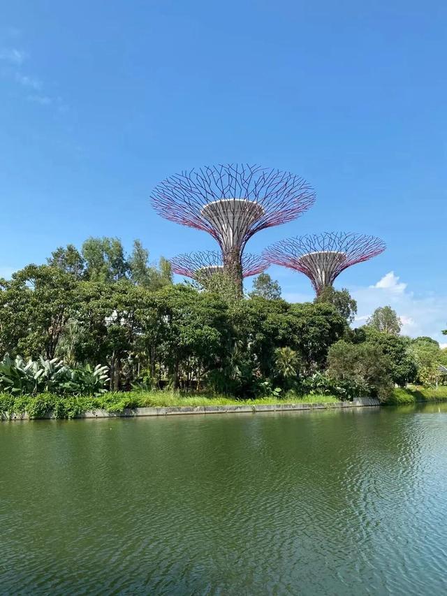 花园城市—新加坡滨海湾花园