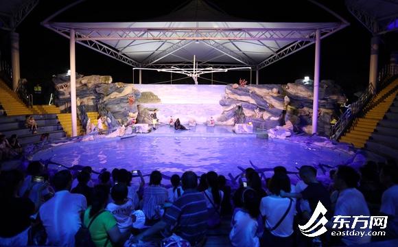 國內首個“動物園奇妙夜”來了！來這裏看看5000只動物的夜間生活