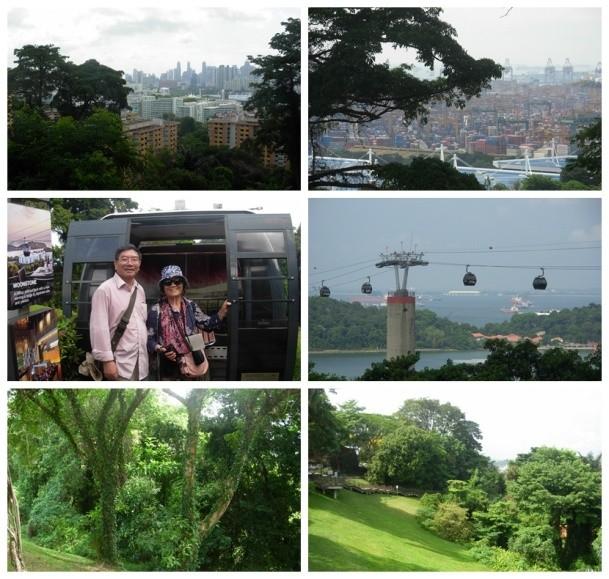 2014年 E-1 新加坡行 A-D5花柏山植物園1
