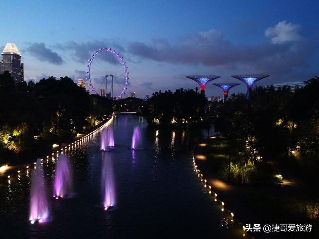 新加坡 滨海湾花园 夜景