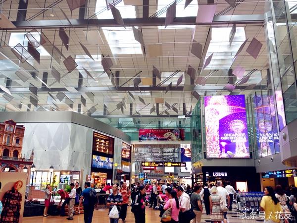 花友花遊：新加坡樟宜機場——新加坡愛花、賞花之旅