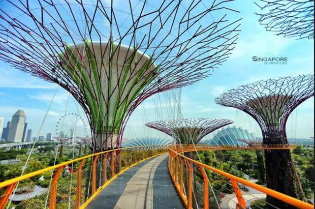 自然沉浸式景观：天空步道，漫步云端的绝美体验