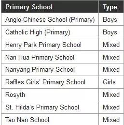 惡補新加坡公立中小學到底有哪些類型剩余學籍難進的學校排名