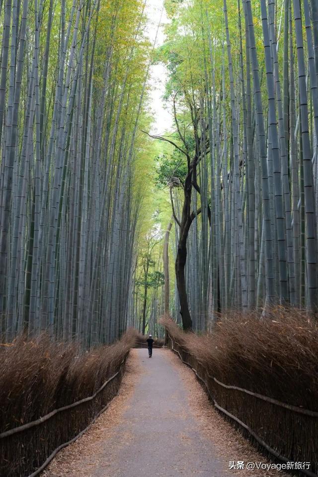 10条森林步道，打开秋天户外模式