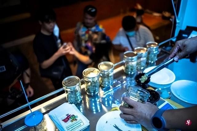 新加坡人海外吸食毒品也犯法？官方針對泰國放寬大麻管制作出回應