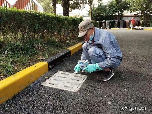 良醫 | 新加坡登革熱暴發，做好滅蚊是關鍵