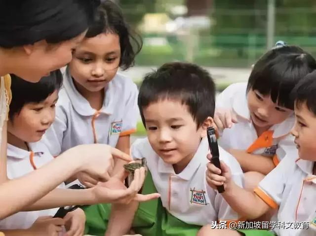 新加坡留学｜想将新加坡当成黄金跳板？先了解下新加坡幼儿园~