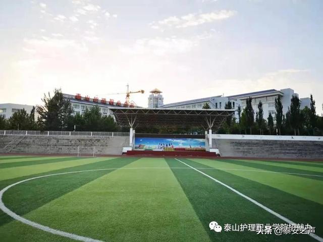 泰山护理职业学院2022年单独招生、综合评价招生简章来了！