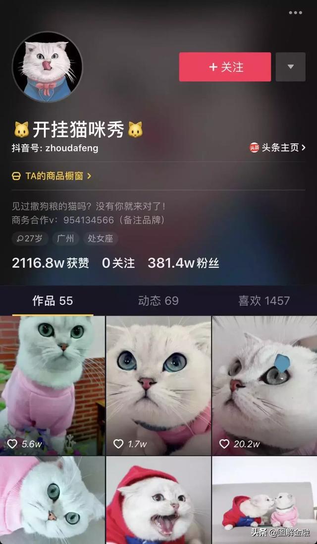 開寵物店暴利？是真是假戳進來看看就知道！