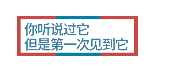 狐狸上街、野猪狂奔。人类消失不见后，动物们有多兴奋