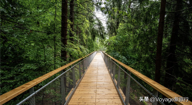 10条森林步道，打开秋天户外模式