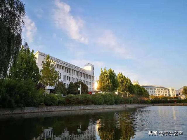 泰山护理职业学院2022年单独招生、综合评价招生简章来了！