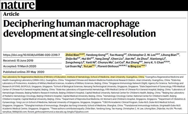 《自然》：暨南大學團隊在人類巨噬細胞發育領域取得重要進展