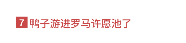 狐狸上街、野猪狂奔。人类消失不见后，动物们有多兴奋