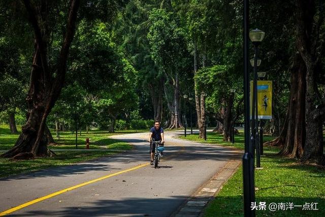 新加坡早报带你东部环岛绿道骑行