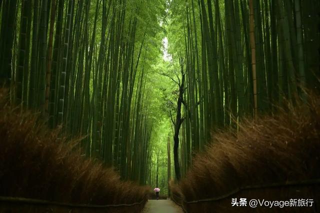 10条森林步道，打开秋天户外模式