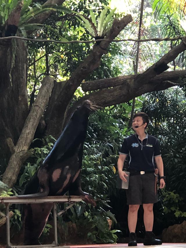 書蟲新加坡之行：新加坡動物園，一個有意思的地方