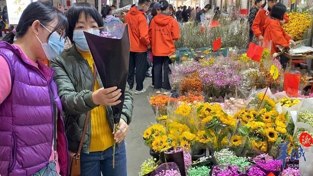 「老廣賀春」年花市場漲聲一片，本地品種網紅産品值得關注