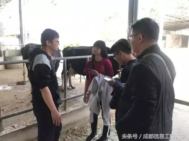 进农场跑社区，干农活分垃圾，中新大学生联手搞事情