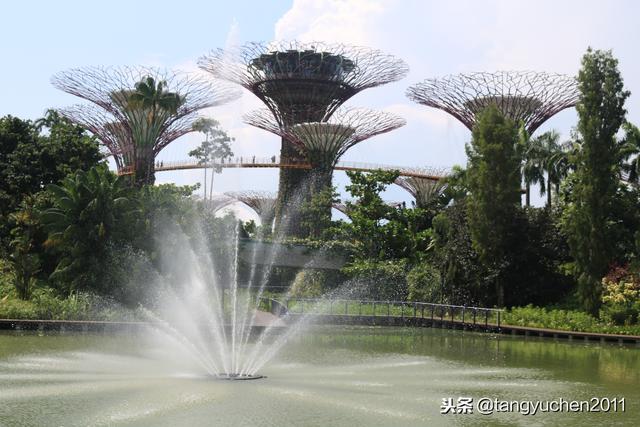 花園島國新加坡共和國遊記day6，濱海灣花園