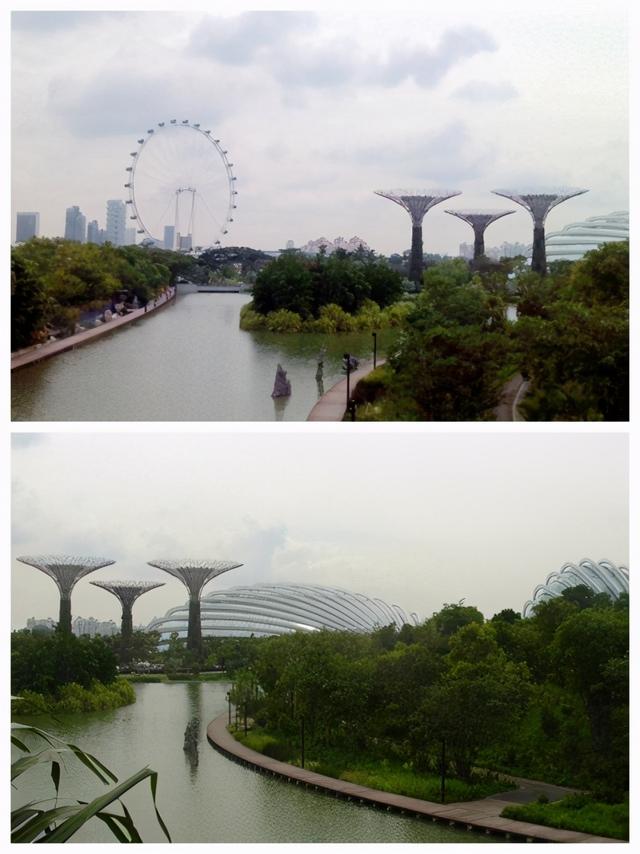 2014年 E-2 新加坡行 B-D7滨海湾花园