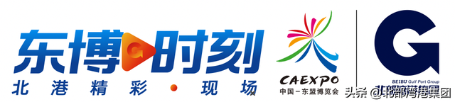 中新社专访李延强：RCEP让北部湾港更加开放繁荣