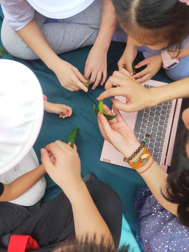 课程预告丨少儿茶艺一级(2期) 寒假课程班预报名啦~