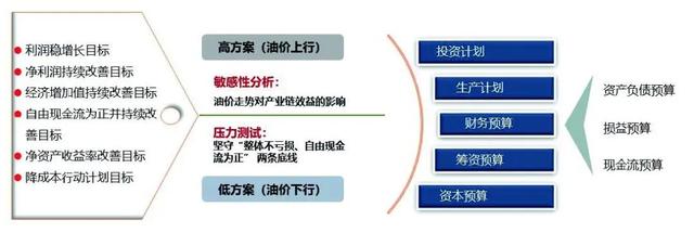 中国管理会计：中国石油基于价值的战略管理会计创新实践