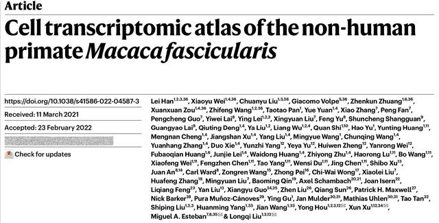 特稿｜中国绘就全球首个猕猴全细胞图谱，人类细胞图谱又有何挑战