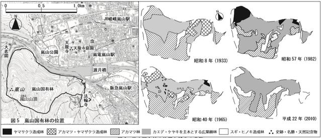 枫叶红了，“枫叶经济”该怎么“红”？