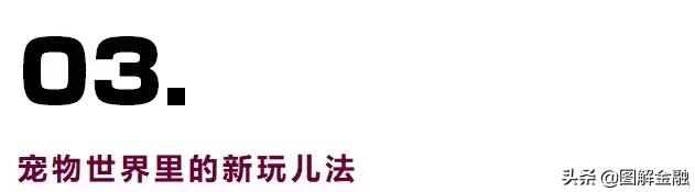 開寵物店暴利？是真是假戳進來看看就知道！