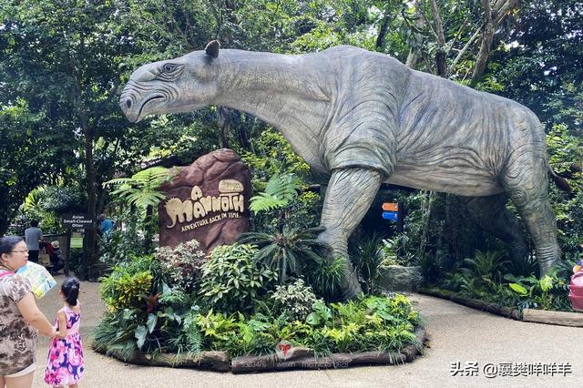 新加坡动物园，热带雨林中的欢乐动物城
