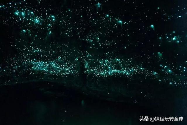 全球最美螢火蟲觀賞地，中國就有四個！