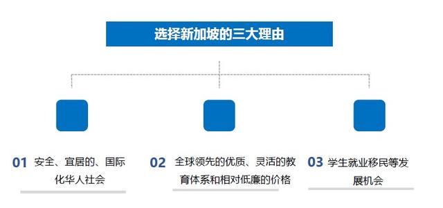 新加坡留学项目指南—蚂蚁国际学院