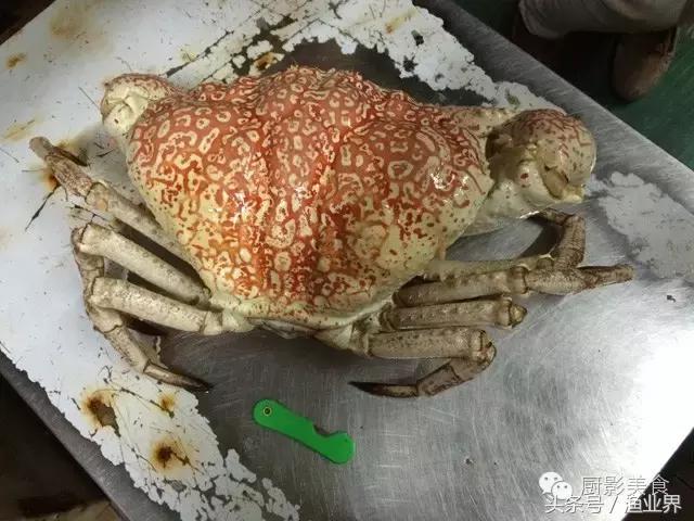 澳洲著名海鮮大賞