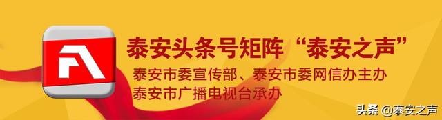 泰山护理职业学院2022年单独招生、综合评价招生简章来了！