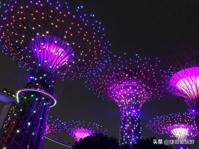 新加坡 滨海湾花园 夜景