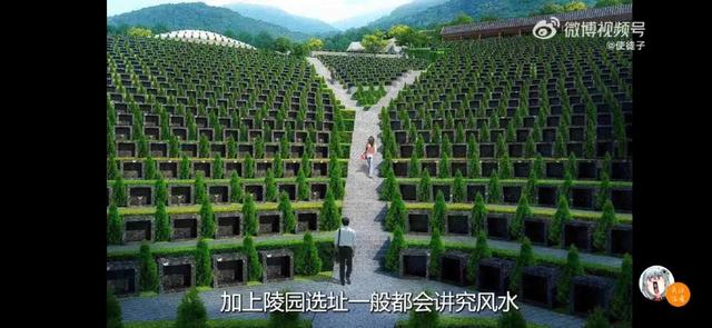 到底是“鬼才or阴间设计师”？上海1000棵树被嘲“像坟头”？