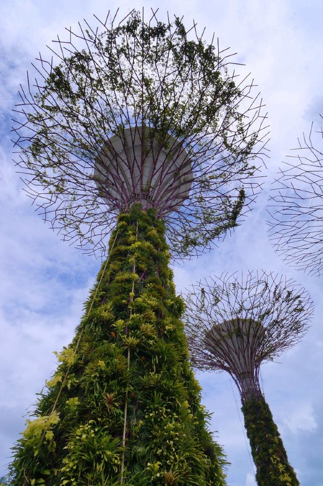 新加坡亲子游选择滨海湾花园好不好玩看完就知道